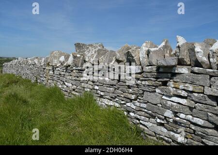 Dry stone wall  topped with vertical capping stones on the Isle of Purbeck, Dorset. Rough limestone walls divides coastal fields.Old stones indicated Stock Photo