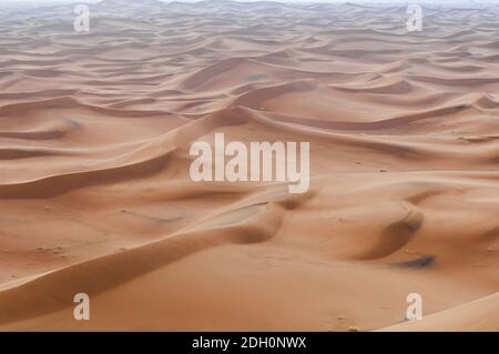 In the Sahara Desert, sand dunes to the horizon, Morocco, Africa. Stock Photo