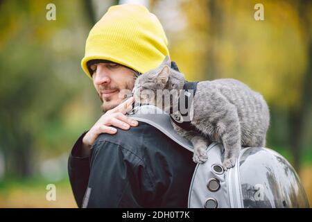 Street walk autumn,adult Caucasian man wearing dark jacket bright yellow hat and his trained domestic gray funny cat,male,looks with interest.The topi Stock Photo