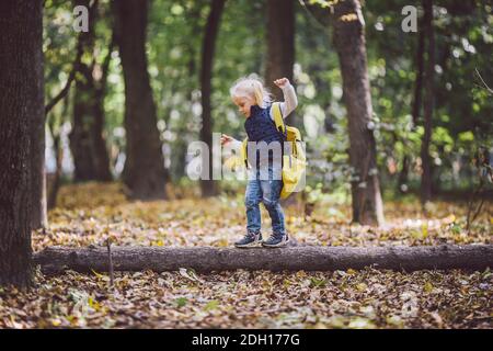 The theme children outdoor activities. Funny little baby Caucasian blond girl walks through forest overcoming obstacles, tree fe Stock Photo
