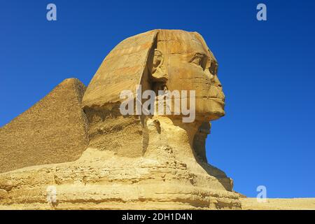 Sphinx in Aegypten, Kairo, Monument Stock Photo