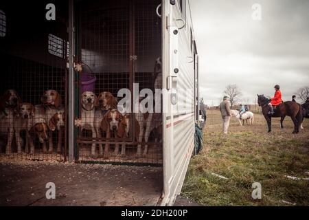 Colour landscape photos of the Hamilton Hunt Club in Ontario Canada preparing and participating in a traditional fox hunt. Stock Photo