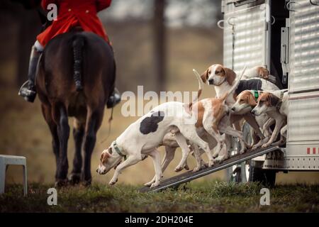 Colour landscape photos of the Hamilton Hunt Club in Ontario Canada preparing and participating in a traditional fox hunt. Stock Photo