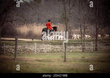 Colour landscape photos of the Hamilton Hunt Club in Ontario Canada preparing and participating in a traditional fox hunt. Stock Photo