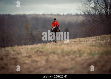 Colour landscape photos of the Hamilton Hunt Club in Ontario Canada preparing and participating in a traditional fox hunt. Stock Photo