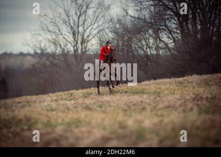 Colour landscape photos of the Hamilton Hunt Club in Ontario Canada preparing and participating in a traditional fox hunt. Stock Photo