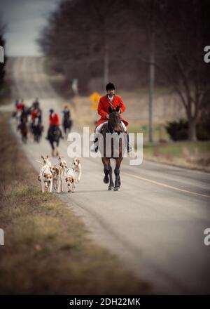 Colour landscape photos of the Hamilton Hunt Club in Ontario Canada preparing and participating in a traditional fox hunt. Stock Photo