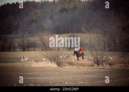 Colour landscape photos of the Hamilton Hunt Club in Ontario Canada preparing and participating in a traditional fox hunt. Stock Photo