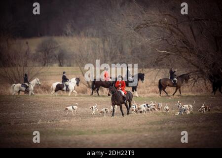 Colour landscape photos of the Hamilton Hunt Club in Ontario Canada preparing and participating in a traditional fox hunt. Stock Photo