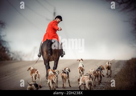 Colour landscape photos of the Hamilton Hunt Club in Ontario Canada preparing and participating in a traditional fox hunt. Stock Photo