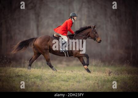 Colour landscape photos of the Hamilton Hunt Club in Ontario Canada preparing and participating in a traditional fox hunt. Stock Photo