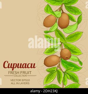 cupuacu vector background Stock Vector