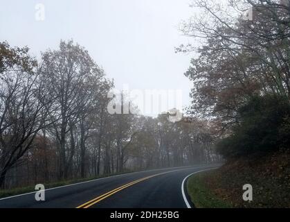 Road winding through a forest in late autumn Stock Photo