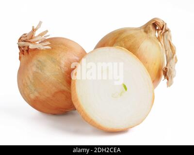 Onion isolated on white Stock Photo