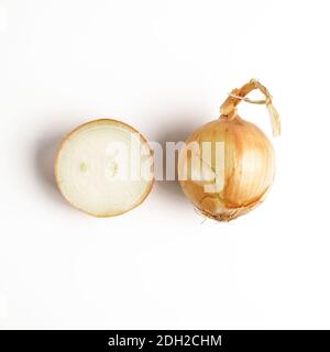 Onion isolated on white Stock Photo