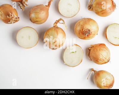 Onion seamless pattern isolated on white Stock Photo
