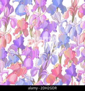 Romantic floral seamless pattern with irises on white. Stock Vector