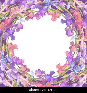 Round season wreath with irises isolated on violet. For design gift boxes, announcements, postcards, posters, invitations Stock Vector