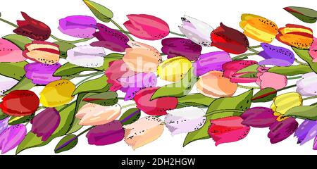 Flower seamless horizontal border isolated on white background. Endless pattern with tulips for design of invitations, cards, gift boxes. Stock Vector