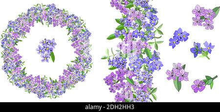 Vector flower romantic set with different phloxes on white. Flower frame and seamless brush. Stock Vector