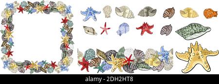 Endless border of marine elements and seashells. Isolated illustration on white background for your design. Stock Vector
