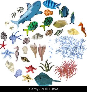 Vector set of sea animals - shark, tropical fish, corals, seahorses, seashells, starfish, stingray, algae. Underwater ocean creatures isolate on a whi Stock Vector