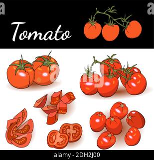 Slices of tomato, tomato cherry isolated on white background vector illustration. Food illustration for cafe, market, menu design. Stock Vector