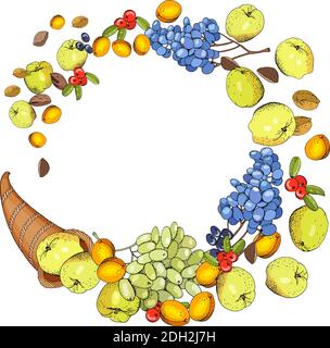 Autumn thanksgiving template isolated on white. Cornucopia with apples, apricots, grapes, berries and nuts. Stock Vector