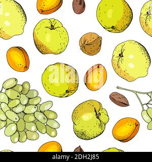 Seamless fruit background with apricots, apples, grapes and nuts isolate on white background. Stock Vector