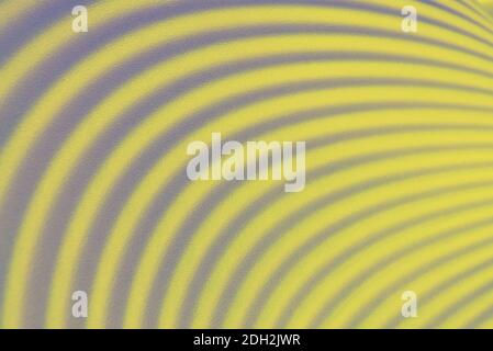 Textured Bright yellow and grey abstract waved background. Trend Color 2021. Stock Photo