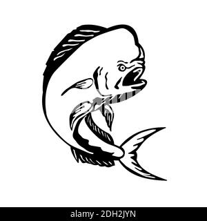 Angry Mahi-mahi Dorado Dolphinfish Jumping Etching Black and White Stock Photo