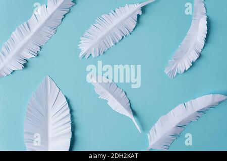 white paper feathers on blue bright background, full frame Stock Photo