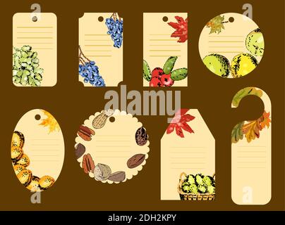 Set of Thanksgiving Day labels for seasonal autumn holiday celebration. Stock Vector