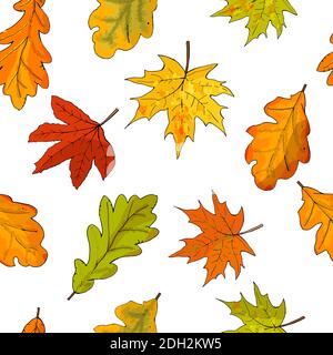Seamless pattern with fall maple leaves izolate on white. Vector illustration. Stock Vector