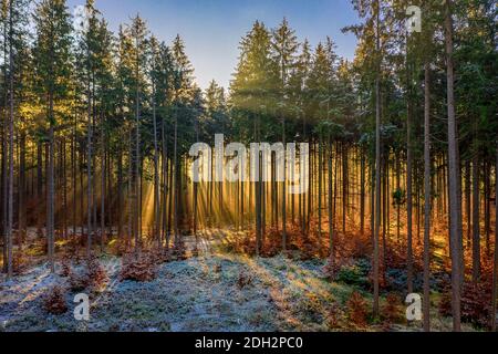 Taraua Ranges Snow Early morning sun warming the snow capped Tararua mountain range after ...