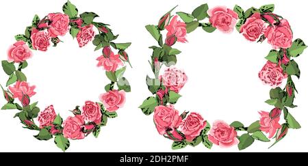 Templates with roses and leaves isolated on white background. Stock Vector