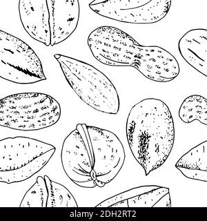 Seamless vector nuts pattern. Outline hand drawn illustration. Black and white food background isolate on white. Stock Vector