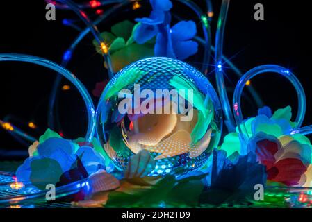 Glass ball photography Stock Photo