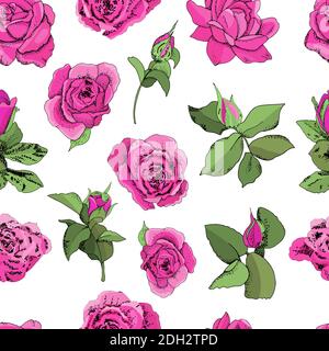 Flowers seamless pattern isolated on white background. Vector hand drawn illustration of roses. For textiles, wallpaper, fabric, gift boxes, greeting Stock Vector