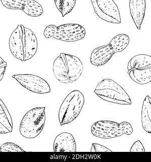 Seamless vector nuts pattern. Outline hand drawn illustration. Black and white food background isolate on white. Stock Vector