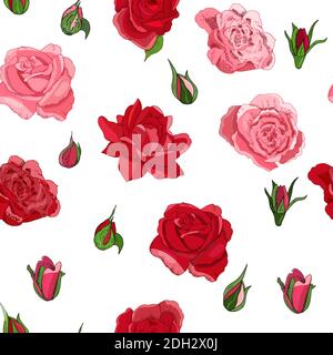 Seamless rose pattern isolated on white background. Vector hand drawn illustration. Excellent for fabric, wallpaper, gift boxes, background greeting c Stock Vector