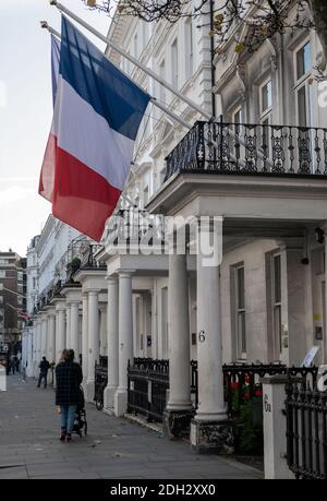 View of French and European Union flags waving beside palm trees and ...