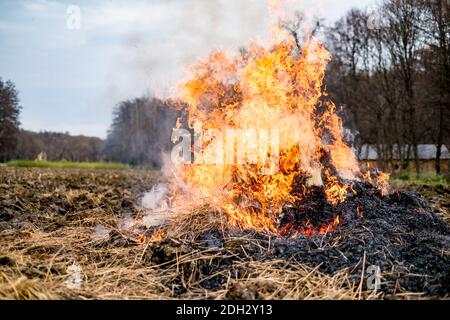 Fire burns straw field after harvest Stock Photo