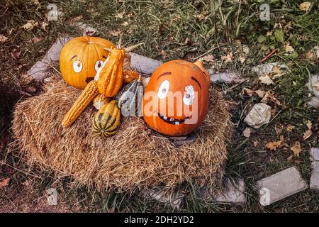 various pumpkins on the hay Stock Photo