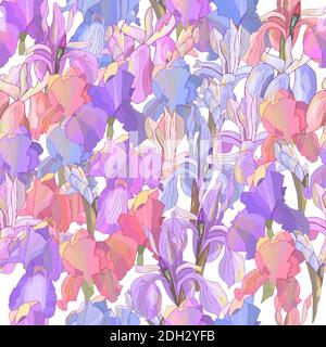 Romantic floral seamless pattern with irises on white. Stock Vector