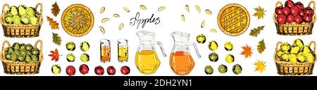 Set of apples, apple slices. Hand drawn food illustration. Stock Vector