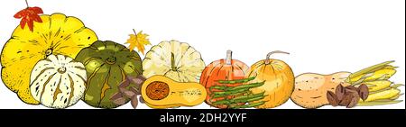 Autumn frame isolated on white background. Pumpkins, leaves. Stock Vector
