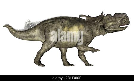 Pachyrhinosaurus dinosaur walking - 3D render