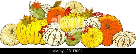 Set of autumn elements isolated on white background. Pumpkins, leaves Stock Vector