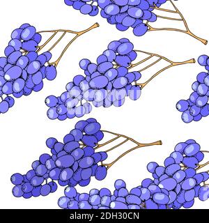 Seamless fruit background with grapes isolated on white. Stock Vector